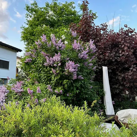 아파트 Blick Schloss Tarasp - Arventraum Mit Gartenspa
