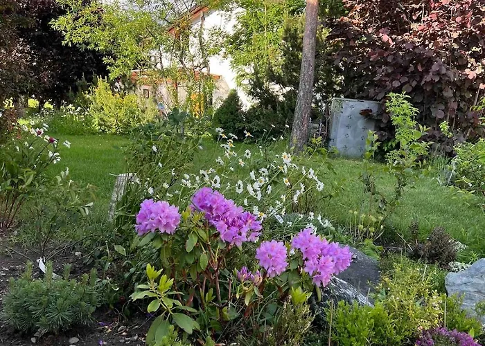 Apartmán Blick Schloss Tarasp - Arventraum Mit Gartenspa Scuol