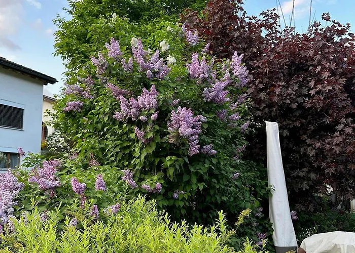 Apartmán Blick Schloss Tarasp - Arventraum Mit Gartenspa