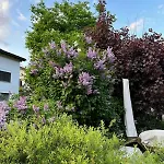 Apartament Blick Schloss Tarasp - Arventraum Mit Gartenspa